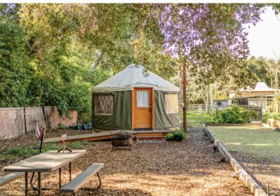 16’ round green yurt with tiny fireplace